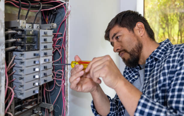 Best Electrical System Inspection  in Lmyra, PA